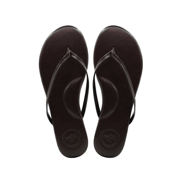 Chocolate Solei Sea Flops