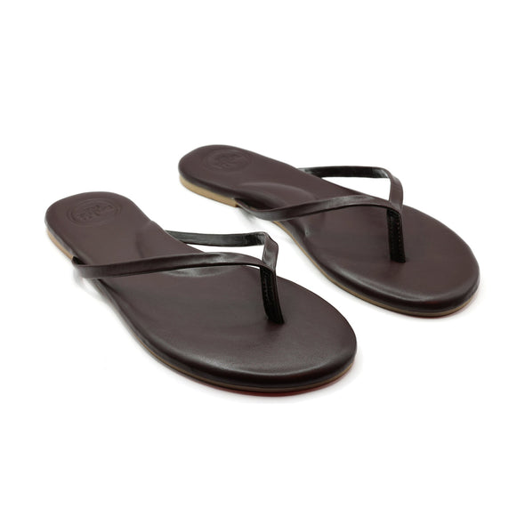 Chocolate Solei Sea Flops