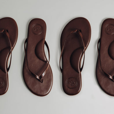 Chocolate Solei Sea Flops
