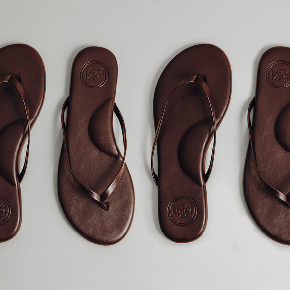 Chocolate Solei Sea Flops